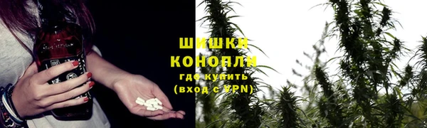 мдпв Волосово