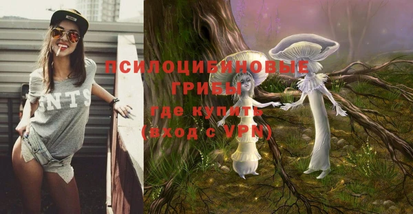 a pvp Володарск