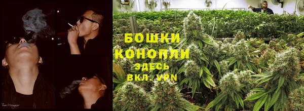 мдпв Волосово