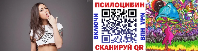 Галлюциногенные грибы Psilocybine cubensis Назарово